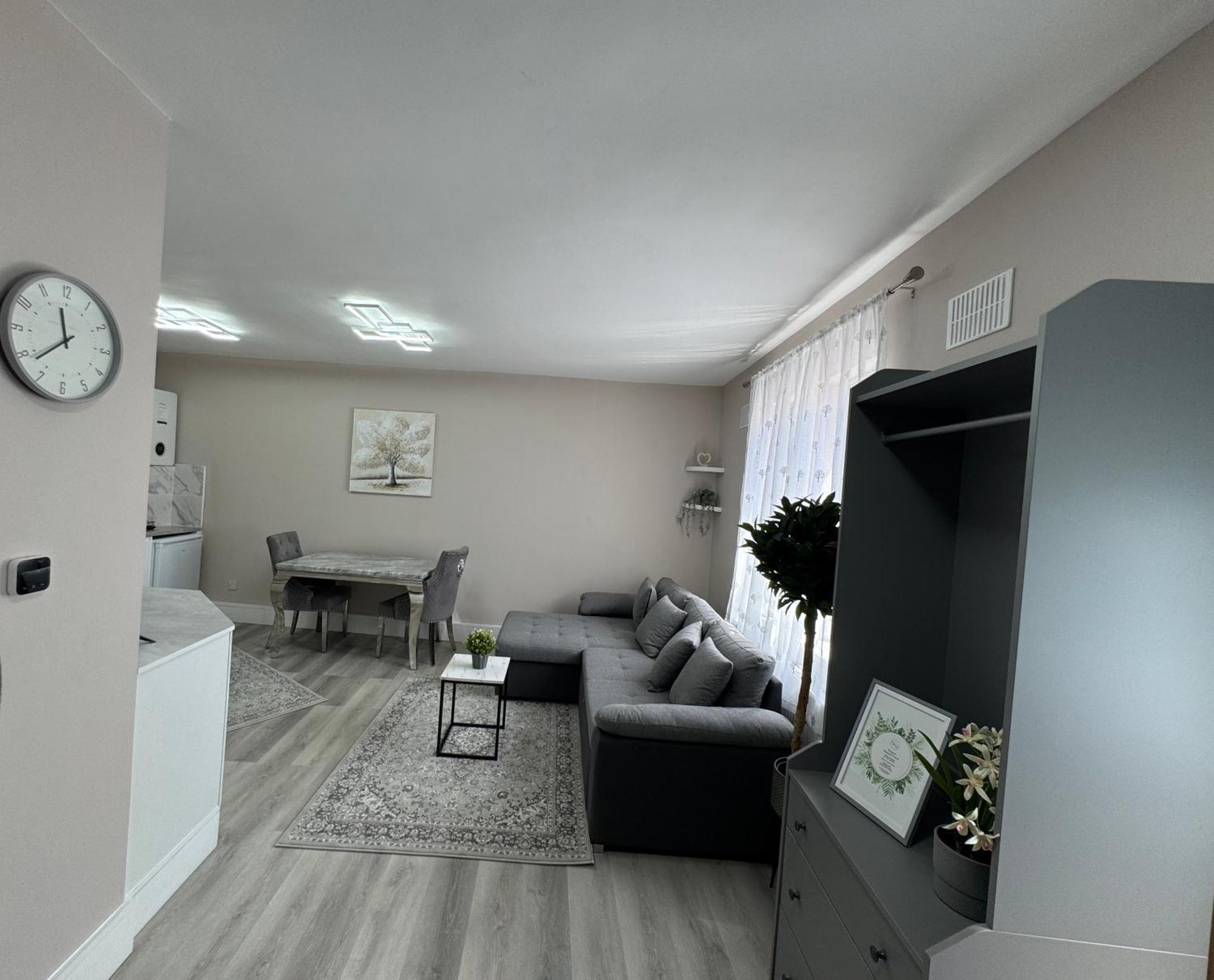 Apartment 1 Bedroom Luxury